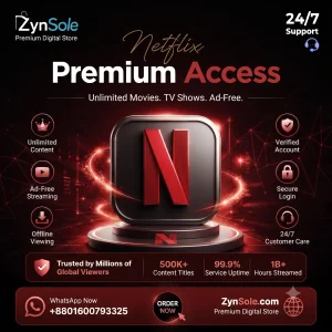 Netflix Subscription